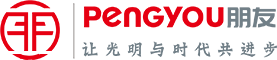 朋友电力科技有限公司